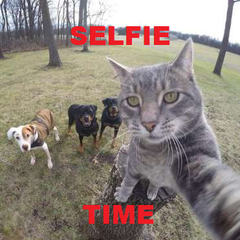  Selfie Time