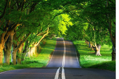 forum donanimhaber com