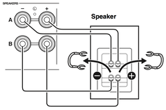  Bi-Amp bağlantı empedans seçimi