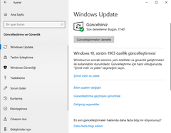 Daha Kararlı Windows 10 Deneyimi İçin SAC Güncelleştirme Kanalını Kullanın / Build: 19041.572