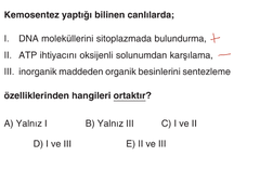 Kemosentez yapan canlı zorunlu aerobik midir?