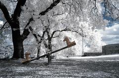 KIZILÖTESİ FOTOĞRAFÇILIK ( INFRARED PHOTOGRAPHY )