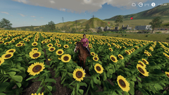 Farming Simulator [PC ANA KONU]