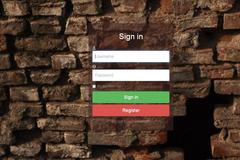  Responsive sign in form