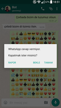  Whatsapp botumu dener misiniz?