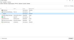 Görev Yöneticisi\Başlangıç da "Program" adlı şey