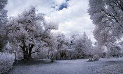 KIZILÖTESİ FOTOĞRAFÇILIK ( INFRARED PHOTOGRAPHY )