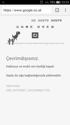 cevrimdisisiniz oyunu