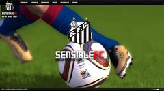  [PC] ★ SENSIBLE F.C. ★ |ı OYUNCU ALIMI BAŞLADI ı|