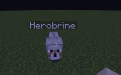 Herobrine ile ETKİLİ trolleme!!!