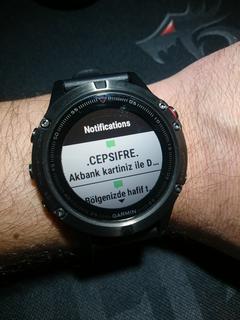 Garmin Akıllı Saat