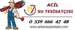 Ankara Petek Temizleme Firması