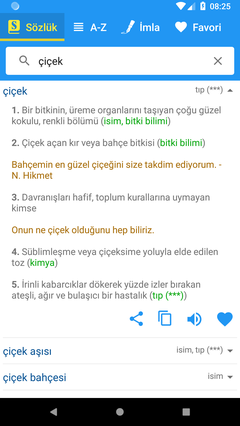 Geniş Türkçe Sözlük ve İmla Kılavuzu