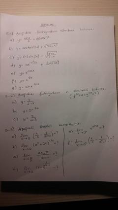  Şu Matematik Sorularına Yardım Edebilecek?