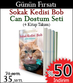 kedi bob trendyol