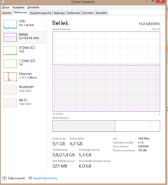  Aşırı RAM Kullanımı