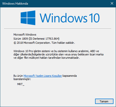 Daha Kararlı Windows 10 Deneyimi İçin SAC Güncelleştirme Kanalını Kullanın / Build: 19041.572