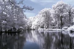 KIZILÖTESİ FOTOĞRAFÇILIK ( INFRARED PHOTOGRAPHY )