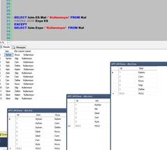  SQL GİRİŞİ OLMAYAN DEĞERLERİ LİSTELEME