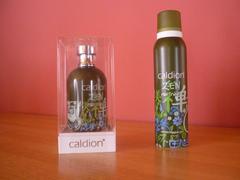Caldion Zen City Parfüm 100 Ml+Deodorant [Erkek için] | DonanımHaber Forum