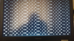 toshiba laptop sari ekran sorunu