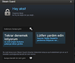  Steam giriş hatası