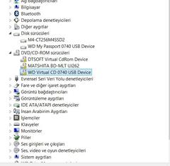  Hard disk problemi (wd my passport)