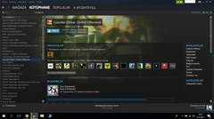 Steam Account Hesap 1300 liralık 61 Tane oyun 2100 saat csgo