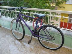 Eski tip kadrolu bisan bisiklet artık satılmıyormu?? | DonanımHaber Forum