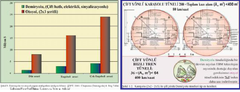  Deprem ovada yıkar-Rehberiniz