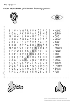 İLKOKULLAR İÇİN ETKİNLİK TEST VE UYGULAMALAR