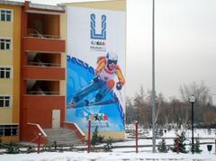  ** Universiade 2011 Erzurum Kış Oyunları **