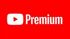 YouTube Premium Kardeşliği - ANAKONU