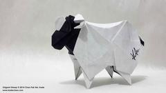  Origami (Kolaydan Zora)