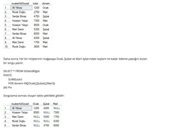  C# SQL PİVOT UYGULAMASI