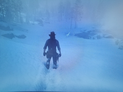 Red Dead Redemption 2 [PC ANA KONU]