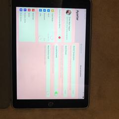 iPad Air 2 Ekran Renk Sorunu