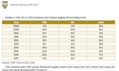 Türkiye 250 BİN TON BUĞDAY İTHAL edecek