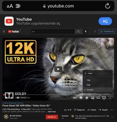 YouTube doymuyor! Artan reklamlardan sonra şimdi de 4K videolar ücretli oluyor