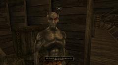 The Elder Scrolls III: Morrowind GOTY ve Skywind Türkçe Çeviri [Ana Oyun & Tribunal: %100]