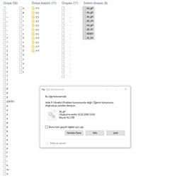 Harici Disk Silinmeyen Dosya Sorunu