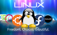  Linux'la İmtihanım