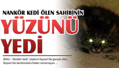  Kedim gözümün önünde can verdi...