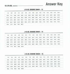  Dilfem Lys 5 Deneme Seti Cevap Anahtarı