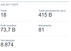 Twitter 90K Organik Hesap