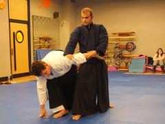  Aikido