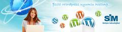  Wordpress hosting arıyorum