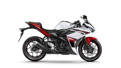  Yamaha R25 Sizce Hangi Renk Alınabilir?