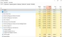 Disk sürekli %100 çalışıyor
