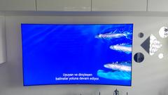 Samsung QLED Serisi TV Kullanıcıları [ANA KONU]